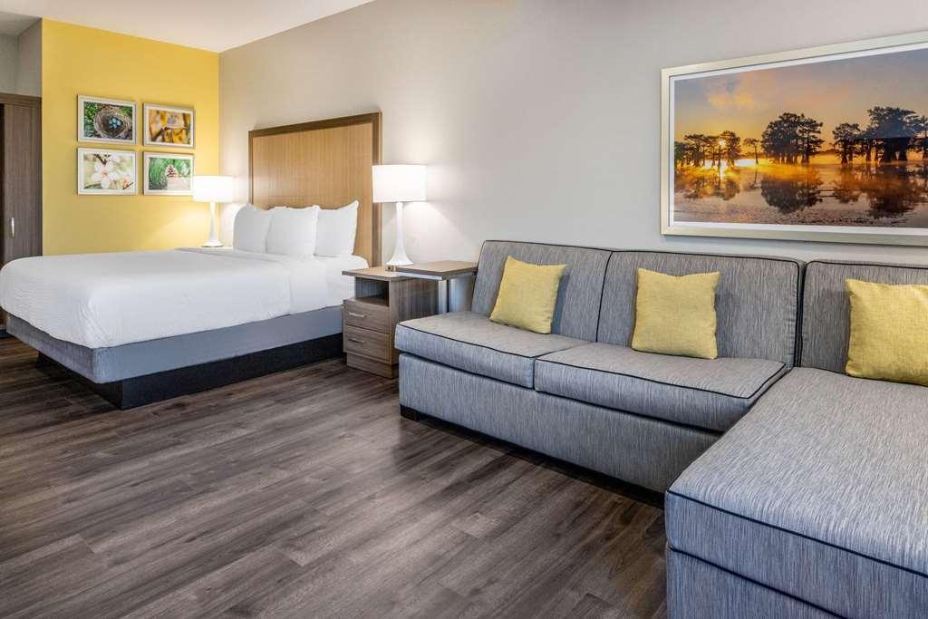 La Quinta Inn & Suites By Wyndham バルドスタ 部屋 写真