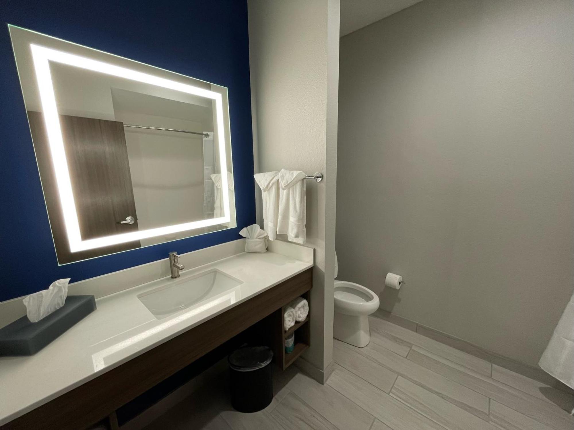 La Quinta Inn & Suites By Wyndham バルドスタ 部屋 写真